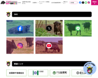 Screenshot_2026-05-19T04-57-20.362Z.png